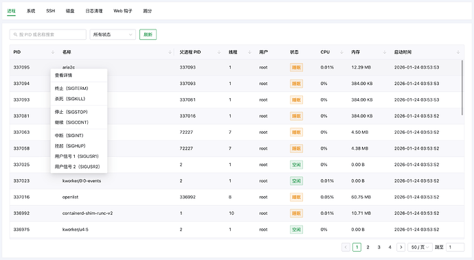 AcePanel Process Management 690x379